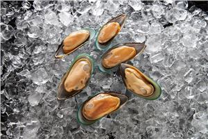 Mussels-1/2-Shell-1Kg-Sanford-(GF)-(128125)