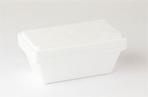 Ice-Cream-Container-Take-Home-Foam-500ml-(230)-(849409)