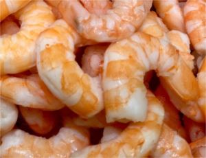 Prawns-60/90-1Kg-IQF-Cooked-and-Peeled-Top-Sail-(157025)