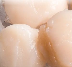 Scallops-Roe-Off-10/20-1Kg-IQF-Pacific-West-(130700)