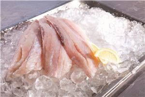 Barramundi-300/500-5Kg-Top-Sail-(GF)-(135777)