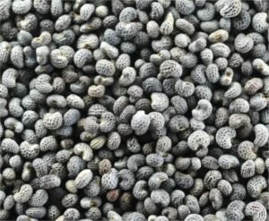 Poppy-Seeds-1Kg-Windsor-Farm-(578113)