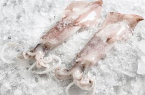 Squid-Loligo-10x1Kg-Size-8/10-Naked-Beach-(GF)-(H)-(152713)