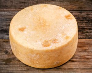 CheesePecorino-Random-Weight-(approx-20Kg)-NZMP-Fonterra-(375870)