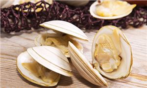 Clams-Whole-Cooked-1kg-40-60-Starpak-(128134)