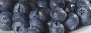 Blueberry50-Filling-6kg-Bakels-(704002)