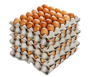 Eggs-600gm-Free-Range-15-Dozen-Blewett-Springs-(439089)