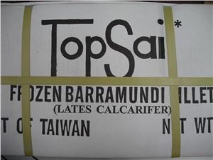 Barramundi-100/200-5Kg-Topsail-(GF)-(135774)